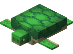 Turtle Rank (+500 coins)